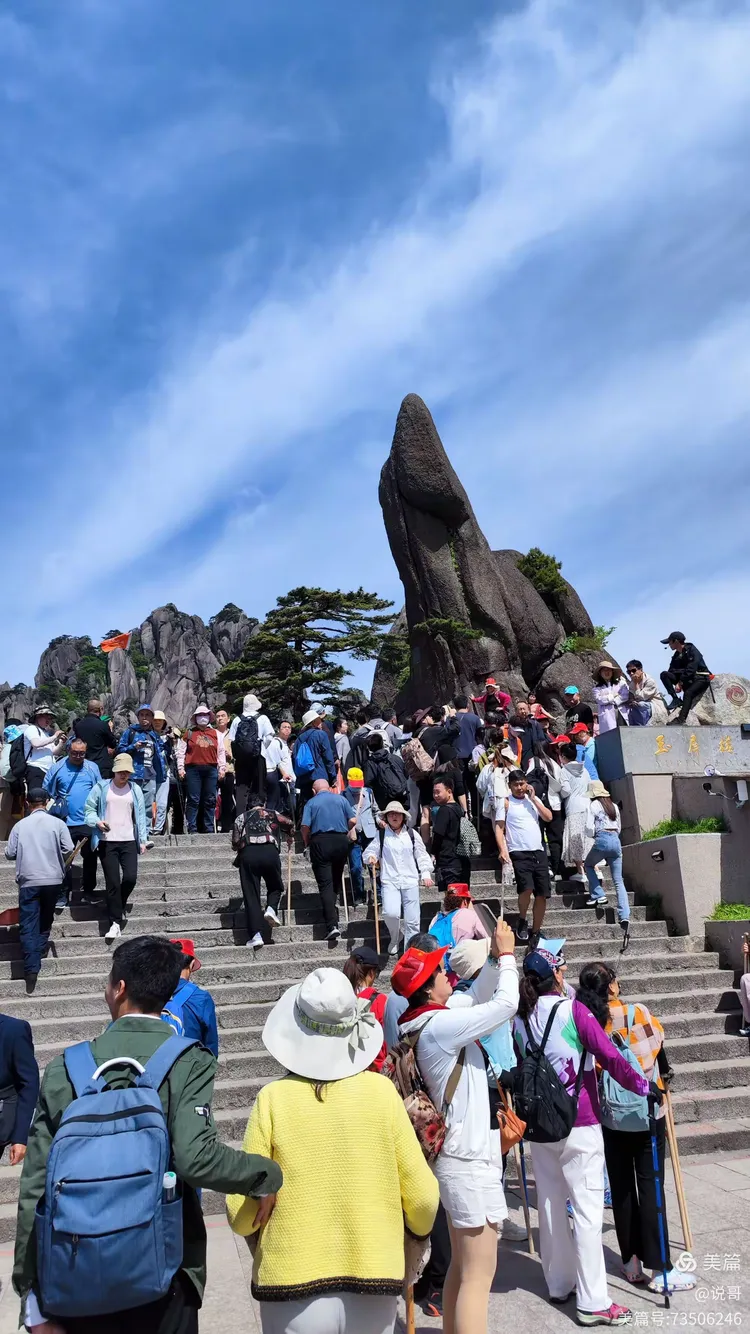 黄山归来不看松